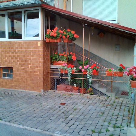 Apartment Janja Vojnik Eksteriør billede