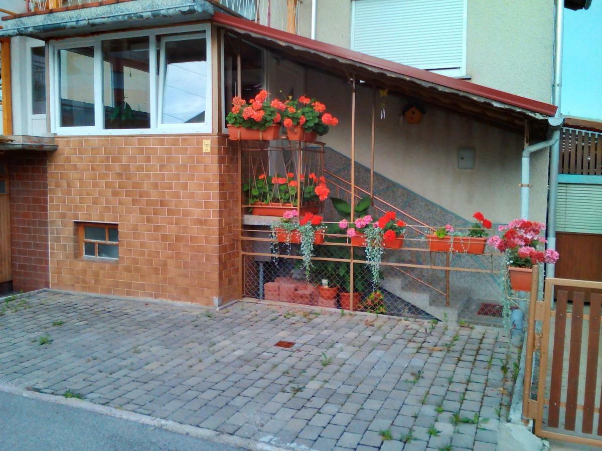 Apartment Janja Vojnik Eksteriør billede