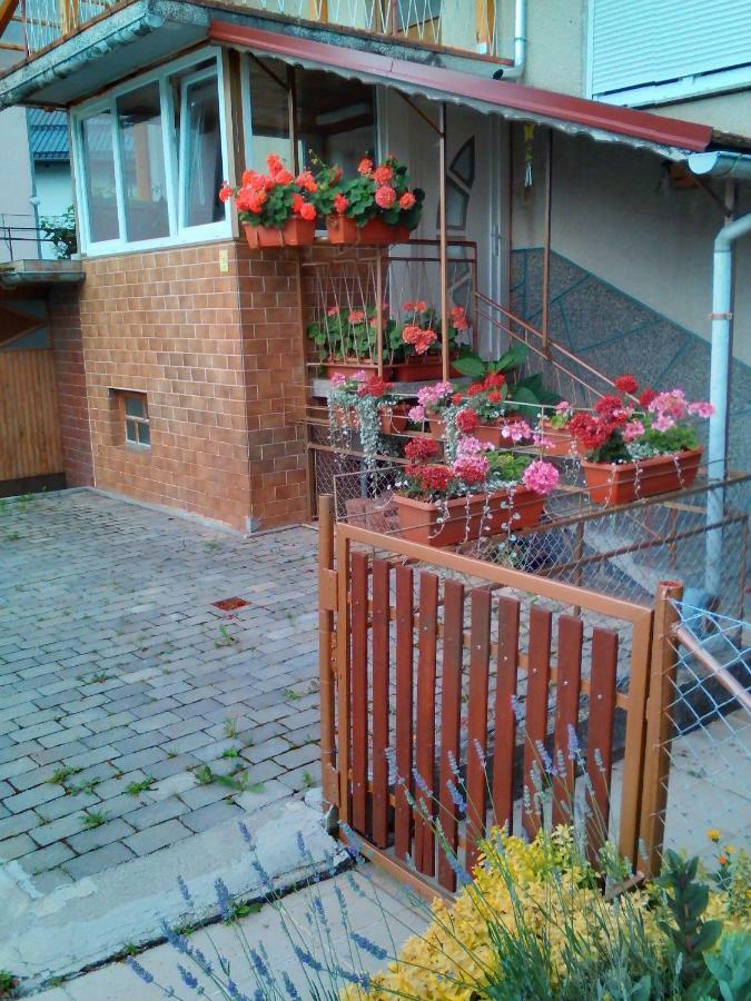 Apartment Janja Vojnik Eksteriør billede