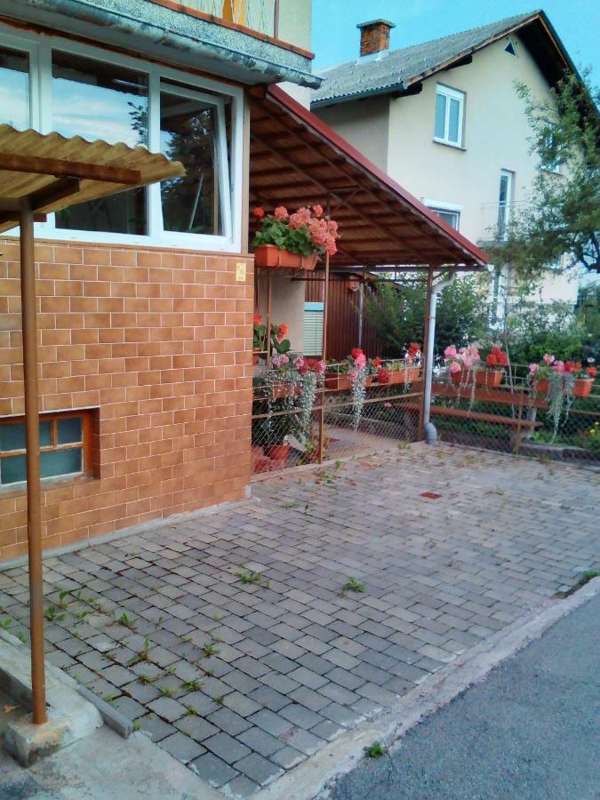 Apartment Janja Vojnik Eksteriør billede