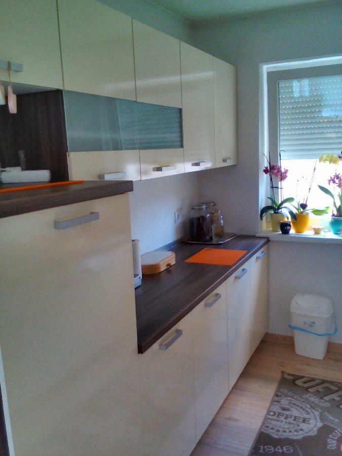 Apartment Janja Vojnik Eksteriør billede