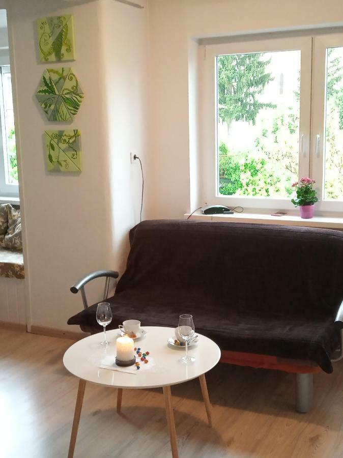 Apartment Janja Vojnik Eksteriør billede