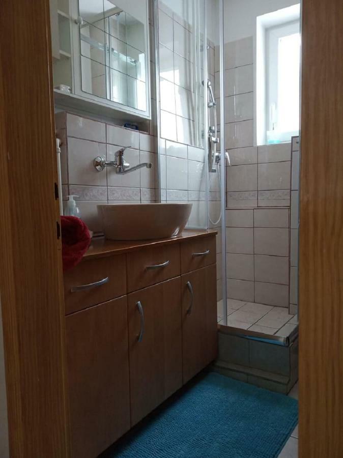 Apartment Janja Vojnik Eksteriør billede