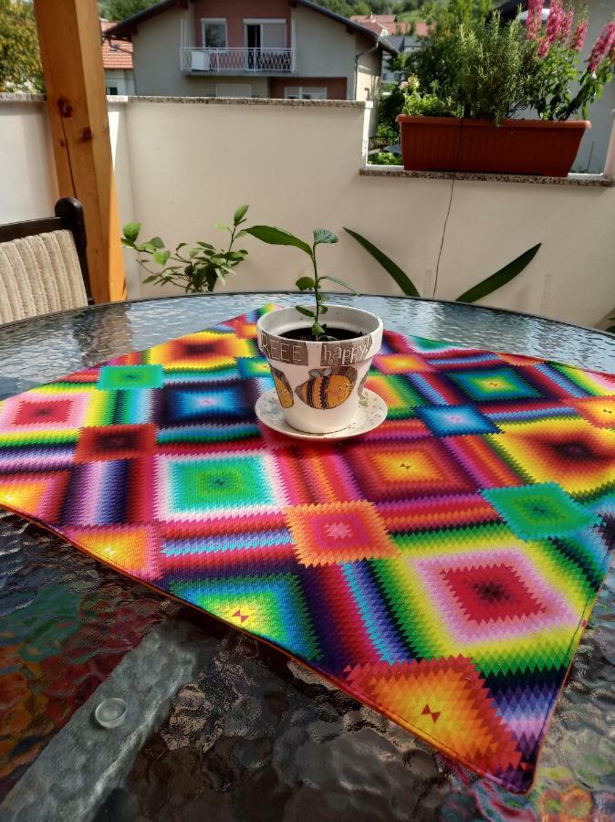 Apartment Janja Vojnik Eksteriør billede